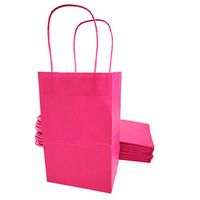 Kelkaa Party Kraft Paper Bags – 24pcs 5.25X3.5X8.5” Gift Bags with Handles for Birthday, Wedding Party Favors, Bachelorette Party, Paper Tote Bags, Party Themes – Small Hot Pink Magenta