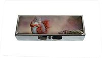 Hiutong Red Squirrel Custom Rectangle Silver Glass Pill Case Decoration Metal Medicine Vitamin Tissue Unique Gift