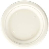 Hefty PCTD7730000CBT Super Strong Paper Plates (Pack of 30)