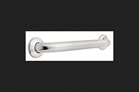Franklin Brass FB5618PSBS 18" Grab Bar, Concealed Mount, Peened and Bright Stainless