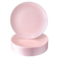DISPOSABLE DINNERWARE PLATES | Premium Reusable Plastic Dishes | 20 Salad Plates | Opulence Blush | 9"