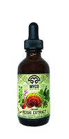 Mycomatrix Adaptogenic Golden Reishi Mushroom Extract