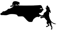 Coon Hunting North Corolina State Decal, Vinyl Truck, Window Stickers,, Die Cut Vinyl Decal For Windows, Cars, Trucks, Tool Boxes, Laptops, Macbook - Virtually any Hard, Smooth Surface, White 8 Inch