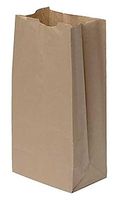 SSWBasics Large Natural Paper Bags - Case of 1,000