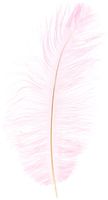ZUCKER Ostrich Feathers 2/Pkg, Light Pink