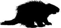ELKS Unique Design Porcupine Silhouette CAR Decal Sticker, Black, 6 in, Die Cut Vinyl Decal, for Windows, Cars, Trucks, Toolbox, Laptops, MacBook-virtually Any Hard Smooth Surface