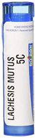 Boiron Lachesis Mutus 5c, 80 Count