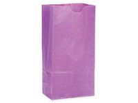 Paper Kraft Color Gift Bags - Bulk 4 lb Gift Sacks Purple Kraft 5x3-1/8x9-5/8" (500 Bags) - WRAPS-GB4PU
