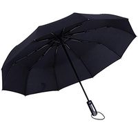 Roysberry Rain UmbrellaWindproof Double Layer Inverted Umbrellas Reverse Folding Umbrella UV Protection 10 Bone Automatic Umbrella