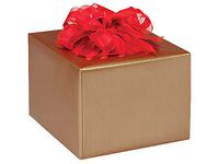 Gloss Color Gift Wrap Paper - Gold Gloss 24"x85' Solid Color Gift Wrap Cutter Box (1 Box) - Wraps -691985