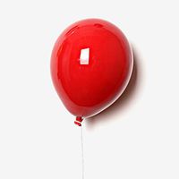 Pet Hair Remover for Dryer