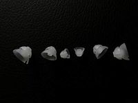 Jungle Care® (Mixed S+M+L*2pc) Double Layer Magic Hearing Aid Domes Comfortable PSAP (Personal Sound Amplifiers Product) Kit Ear Tips Invisible, Perfect for Open Air (Open fit), Except for RIC