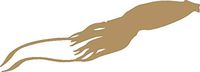 hBARSCI Giant Squid Vinyl Decal - 5 Inches - for Cars, Trucks, Windows, Laptops, Tablets, Outdoor-Grade 2.5mil Thick Vinyl - Gold