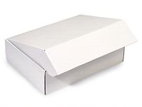 Decorative Shipping Boxes - White Gourmet Shipping Boxes 12x9x3" Auto Lock Boxes - (2 Packs; 6 Boxes Per Pack) - WRAPS-53WH