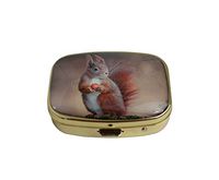LCTCKP Custom Fashion Square Glass Gold Pill Case Decorative Metal Western Medicine Tablet Container Box (Red Squirrel)
