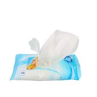 2 Pack Wet Wipe Tissues, Hand Care Paper Towels for Adults or Kids, Easy to Carry, 20 Wipes/Pack