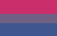 Bisexual Pride STICKER Gay Bi-Sexual DECAL VINYL BUMPER Flag Horizontal Stripes Prank Joke Funny DÉCOR CAR TRUCK LOCKER WINDOW WALL NOTEBOOK