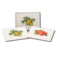 Earth Sky + Water - Citrus Assortment Notecard Set - 8 Blank Cards with Envelopes (4 each of 2 styles)