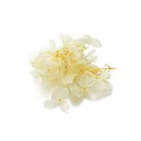 1 Box Dry Flower DIY Epoxy Resin Crafts Handmade Filling Materials Filler Dried Flowers Time Stone Jewelry Making Desk Decoratio,Yellow