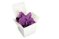 Verazui Plum Purple Pack of 5 White Favor Boxes 3x3x3 with Color Tissue Paper Sheets