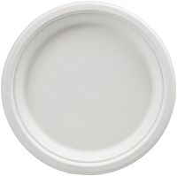 AmazonBasics Compostable 9-Inch Plates, Pack of 250