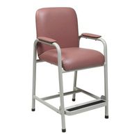 Everyday Hip Chair Color: Blue Ridge