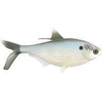 13 Fishing BAMF Shad Silver Shad