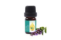 Clary Sage (Salvia sclarea) Essential Oil, 100% Pure, Therapeutic Grade 5ml (1/6 oz)