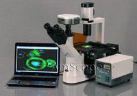 AmScope IN300TC-FL-5MCCD 40x-1000x EPI Fluorescent Tissue Culture Inverted Microscope + 5MP CCD Camera