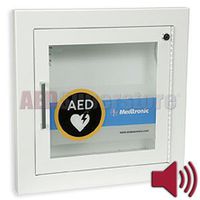 Cabinet Recessed Fire Rated with Alarm & Square Edges - 11210-000027