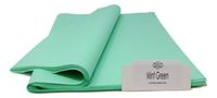 Cool Mint - Tissue Paper - 96 Sheets - 15 Inch x 20 Inch - for Gift Bags, Gift Wrap, Paper Flower, Party Decoration, Pom Poms - Premium Quality | Colors of Rainbow