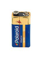 Daricepolaroid Battery Replacements - 9V - 1Piece
