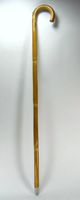 Old Fashioned Horse Measuring Walking Stick Cane