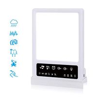 OWIKAR Light Therapy Lamp & White Noise Machine, UV Free 10000 Lux Full Spectrum LED Light, Personal Energy Light with 3 Adjustable Brightness & 6 Soothing Nature Sounds for Home, Office, Travel