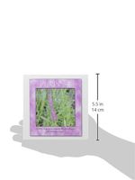 3dRose Motivational Purpose - Greeting Cards, 6 x 6 inches, set of 6 (gc_27938_1)