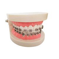 LXX Dental Orthodontic Treatment Malocclusion Study Teeth Model with Wire Chain Adult Teeth Gums Standard Demonstration Tool