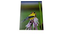 36 Lined Page Writing Tablet (Goldfinch)