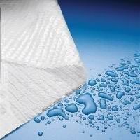 PT# 184 PT# # 184- Towel Patient Plasbak 2 Ply T/P NS 13.5x18" Blue 500/Ca by...