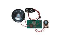 RadioShack 9V Digital Voice Recording Module