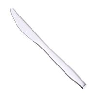 AmazonBasics Light-Weight Plastic Knives, White, 250-Pack