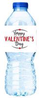 Within The Circle of Love Happy Valentine's Day Party Decoration Water Bottle Labels -15pack