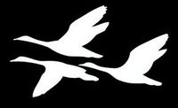 Geese Flying Goose Decal Vinyl Sticker | Cars Trucks Vans Walls Laptop | White | 5.5 x 3.5 in |LLI726