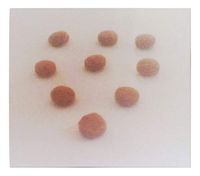 Islands Earth Cystitis Calm Bladder Healing Pain Relief Calming All Natural Herbal Tablets Formula Supplement. an Islands Earth Original Product.