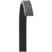 Dayco Poly Rib V-RIBBED BELT (6060809)
