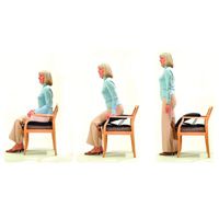 Uplift Seat Assist - Uplift Plus Seat Assist