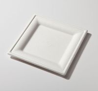 8" Biodegradable Square Plate Sugarcane (Pack of 200)