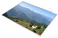 New 14" WXGA Glossy LED Screen For HP Pavilion DM4-1160US