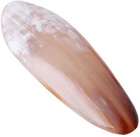 MYTDBD Professional Gua Sha Scraping Massage Tools Natural Horn Scraping Board