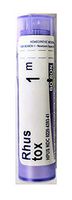 Boiron Rhus Toxicodendron 1m, 80 Pellets Per Pack