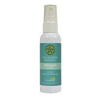 Tea Garden Wintergreen Car Mist